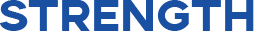 公司实力