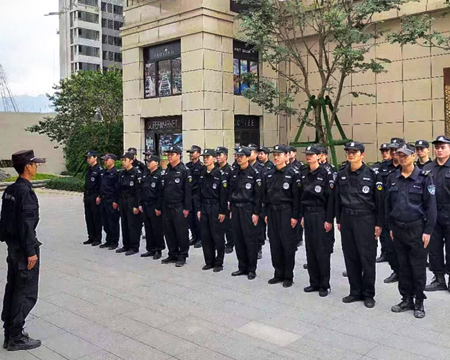 技术团队全面支持